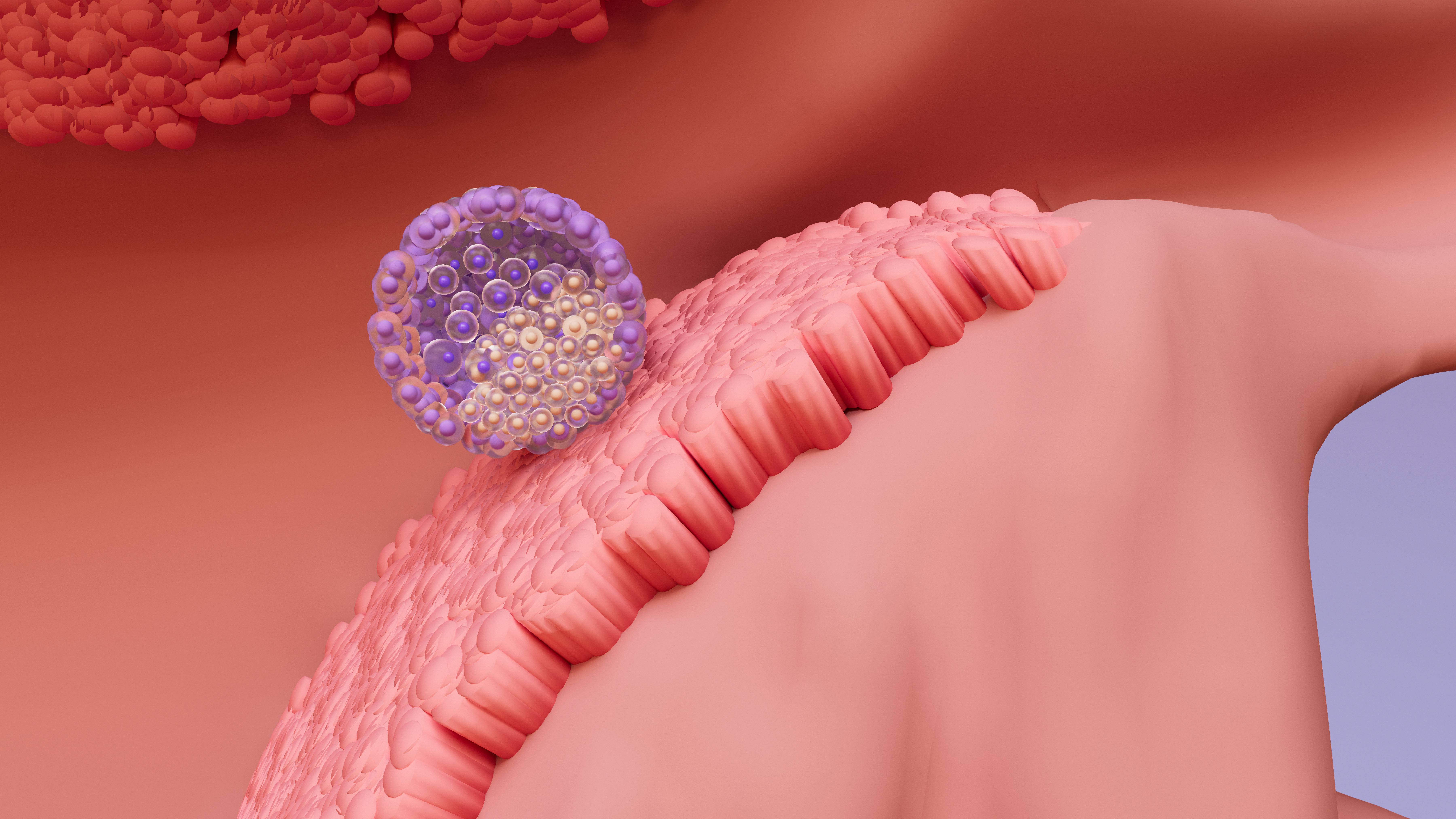 Что такое эмбриональный клей (Embryo Glue)? Для кого он применяется?