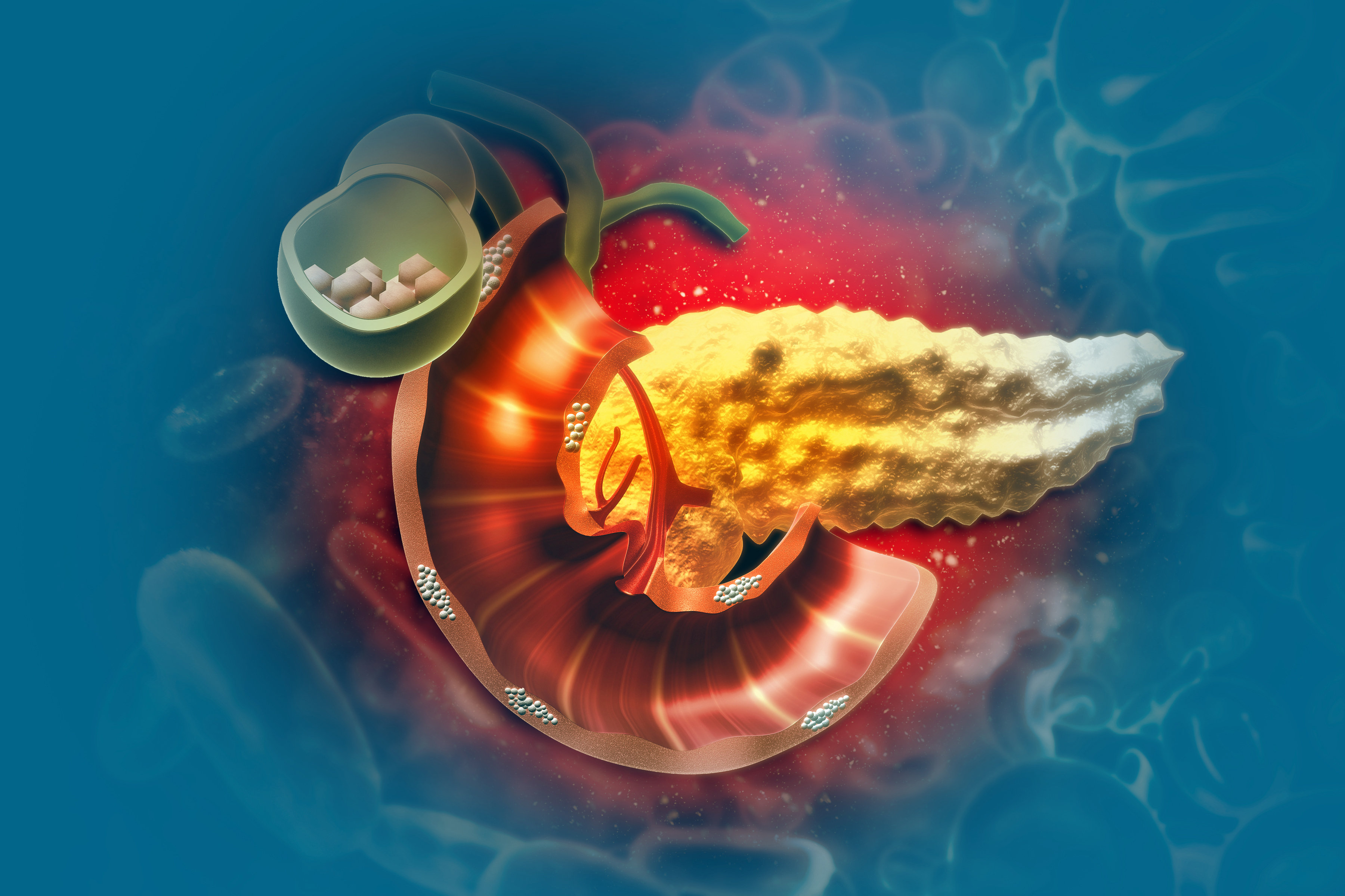 Что Такое ERCP?