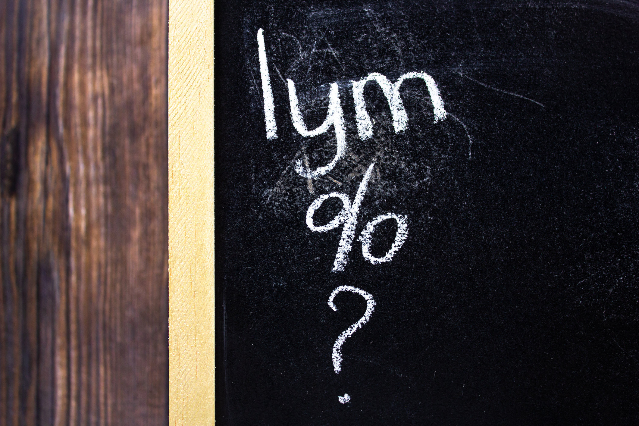 LYM: Что это такое, его функции, высокий и низкий уровень