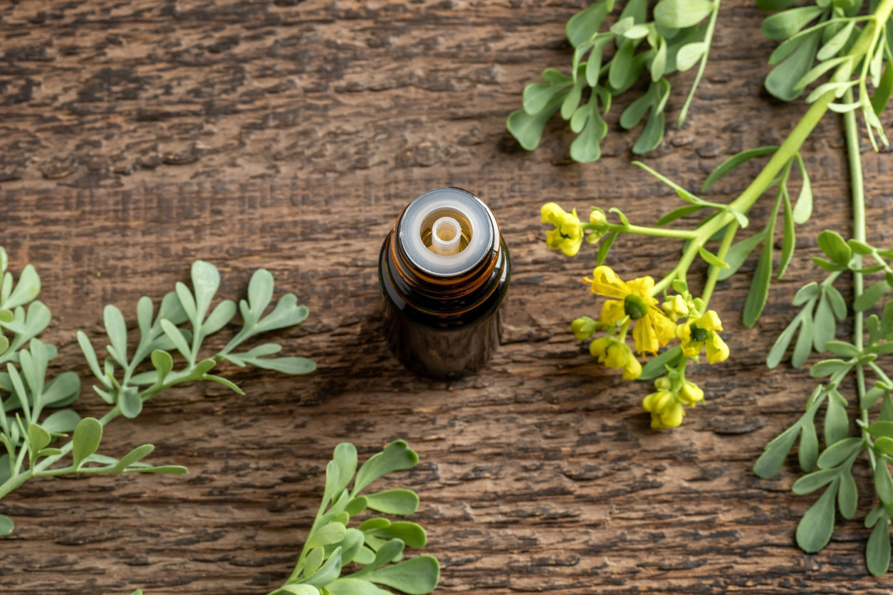 Что такое масло нияули? Каковы его преимущества?