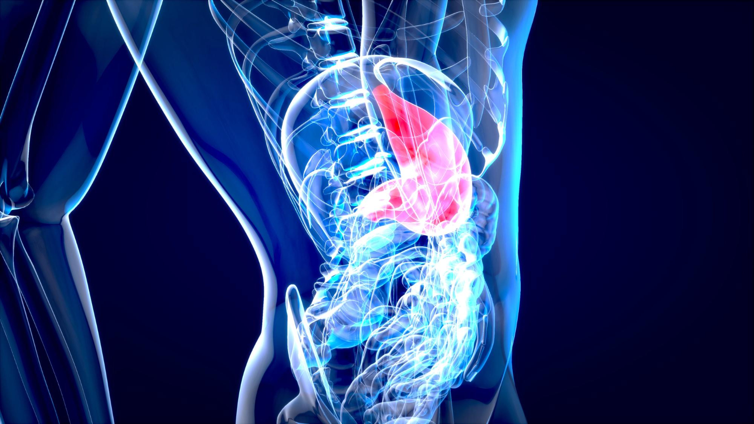 Рак поджелудочной железы - лечение, симптомы, причины