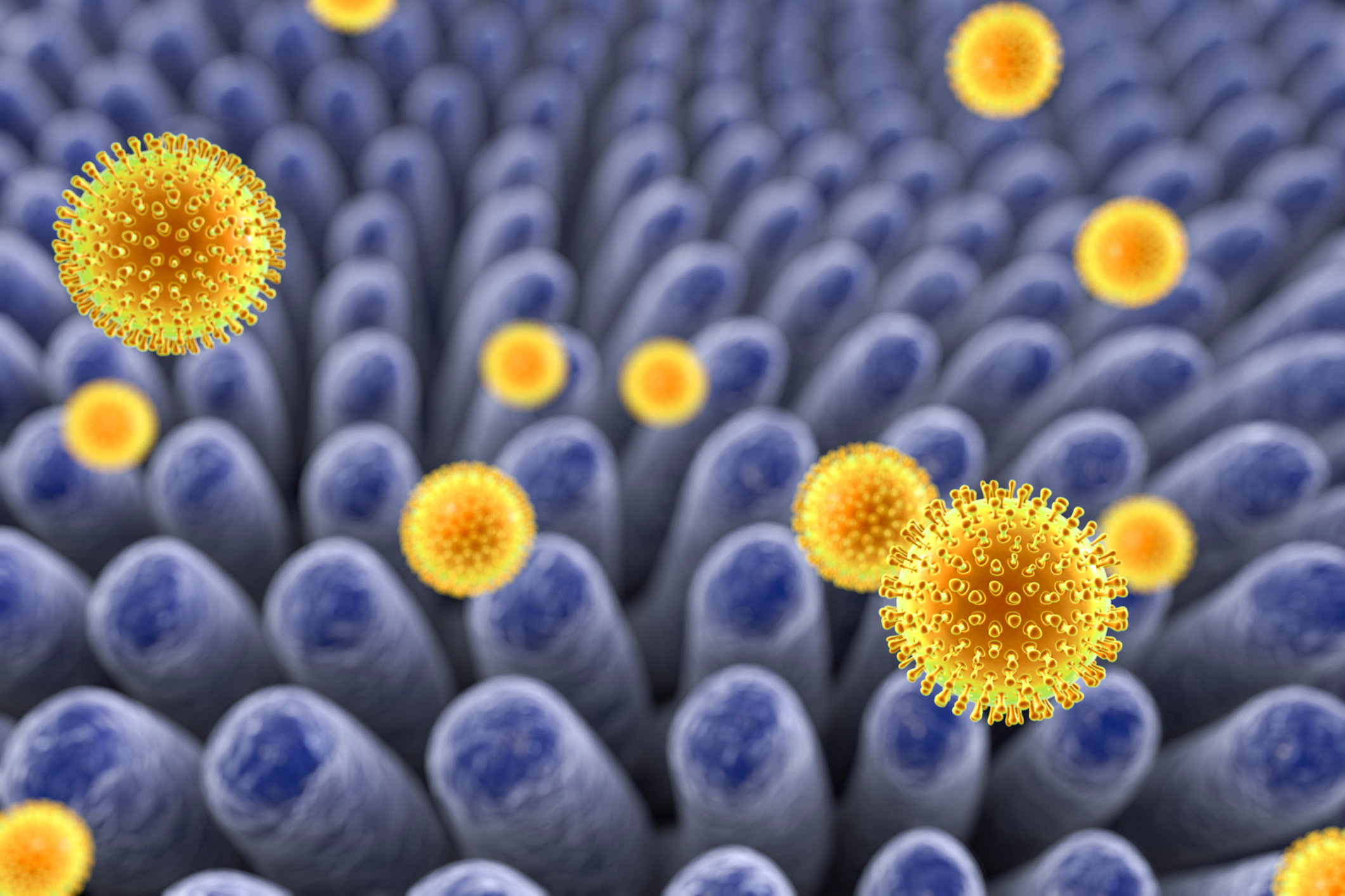 Ротовирус: что это, как передается, симптомы, лечение