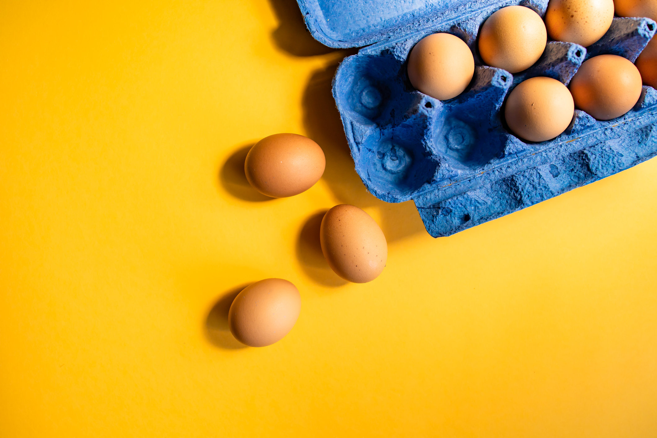 Что такое сальмонелла?