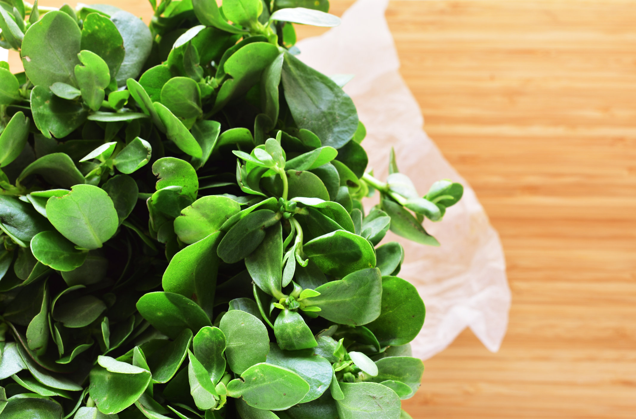 Какие преимущества имеет шпинат?