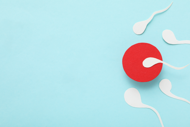 Сохранение фертильности в онкологии