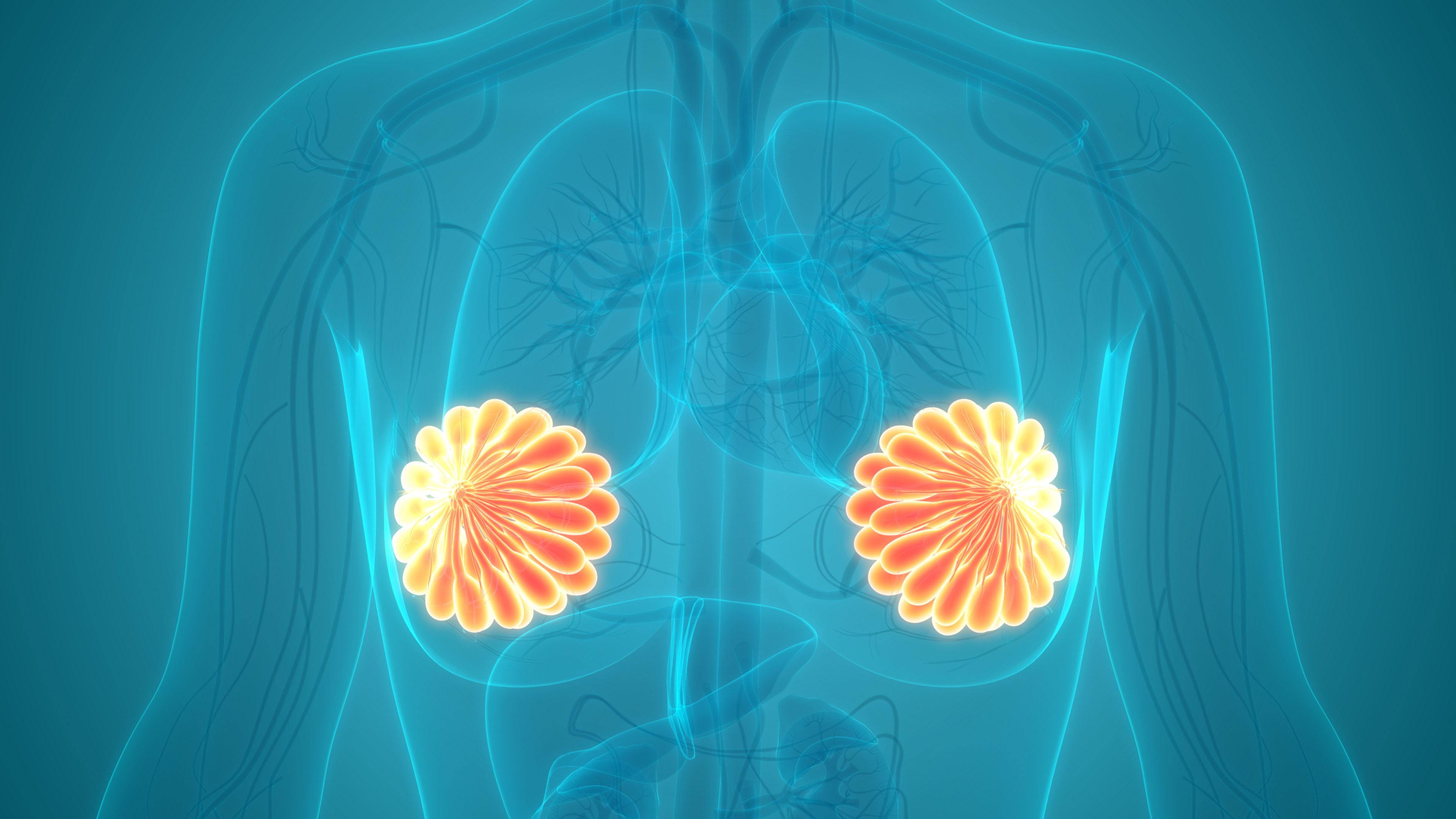 Плотная ткань молочной железы (плотная грудь)