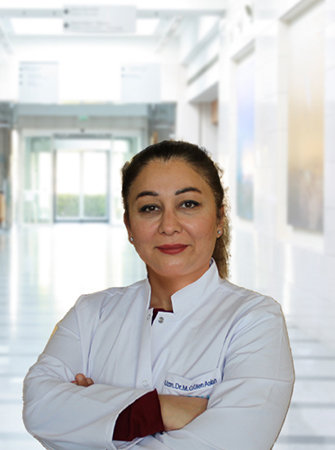 Мевхибе Гюлен Аслан